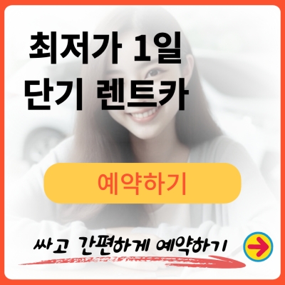 1일 단기 렌트카