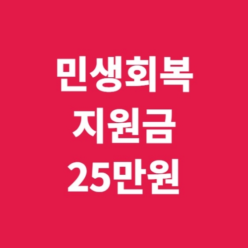 민생회복지원금 25만원