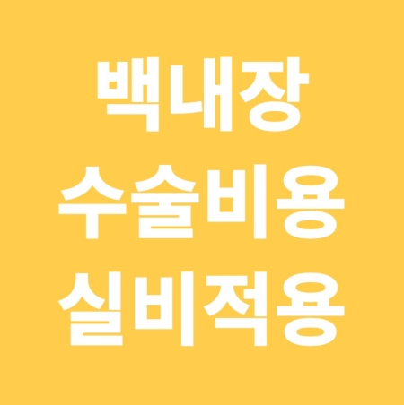 백내장 수술 비용 실비