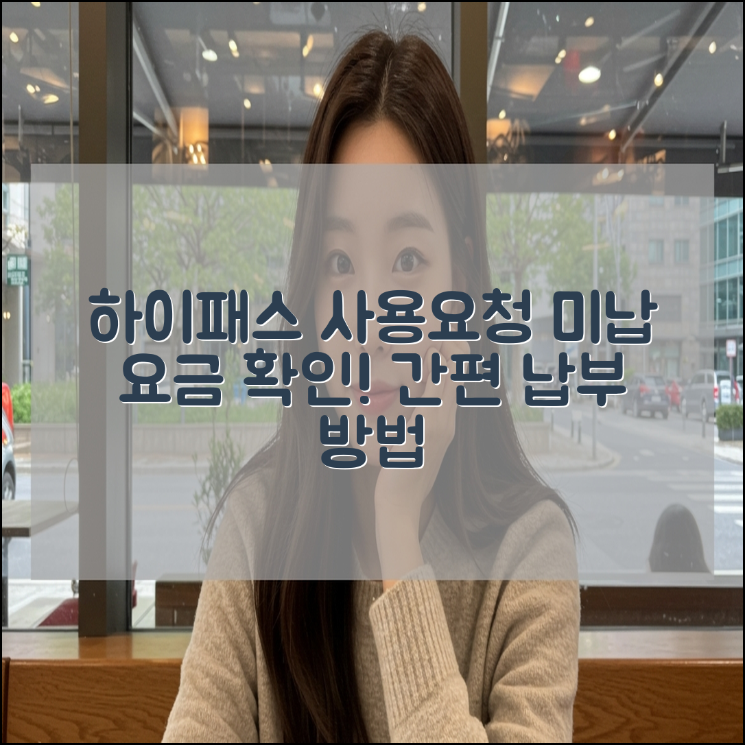 하이패스 사용 내역 조회, 미납 요금 납부 방법