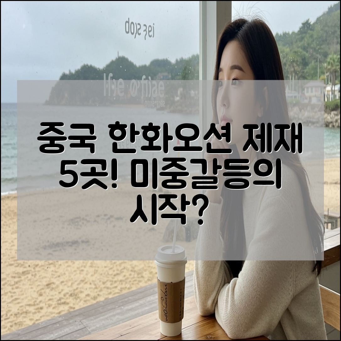 중국의 한화오션 자회사 5곳 제재와 미중갈등과의 관계