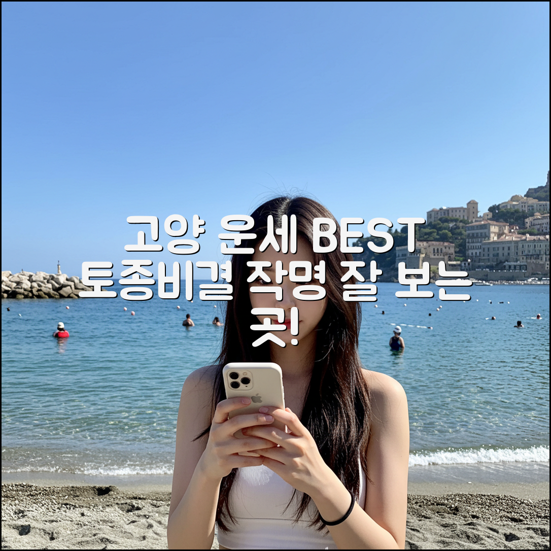 고양 운세 잘 보는 곳, 토종비결 작명 철학관 BEST