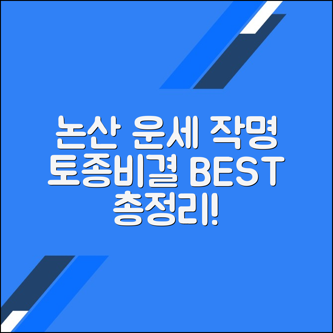 논산 토종비결 작명 잘하는 운세집 총정리