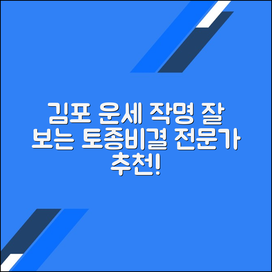김포 운세 잘 보는 토종비결 작명 전문가 추천