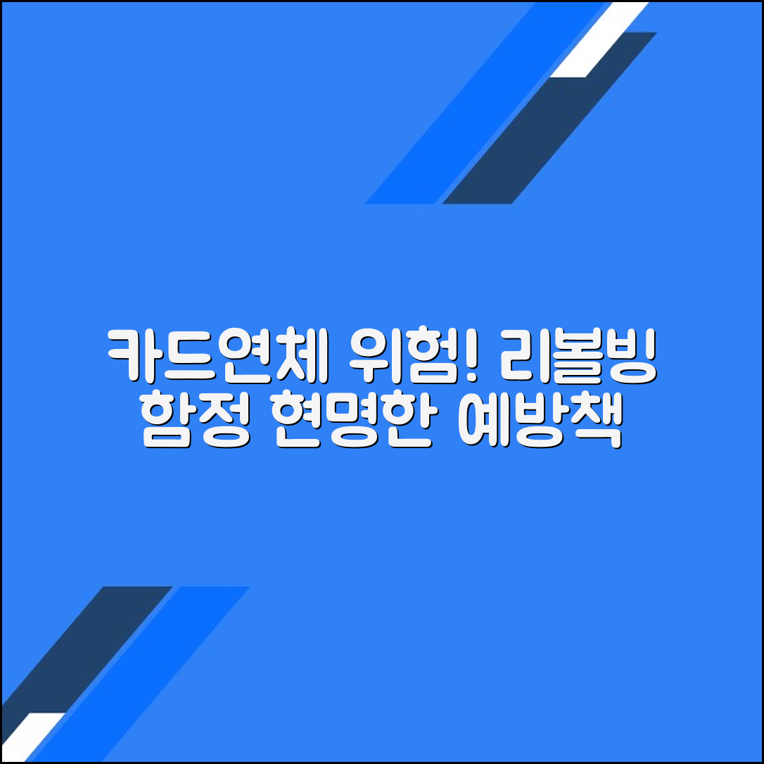 카드연체 예방: 리볼빙에서 얻는 교훈
