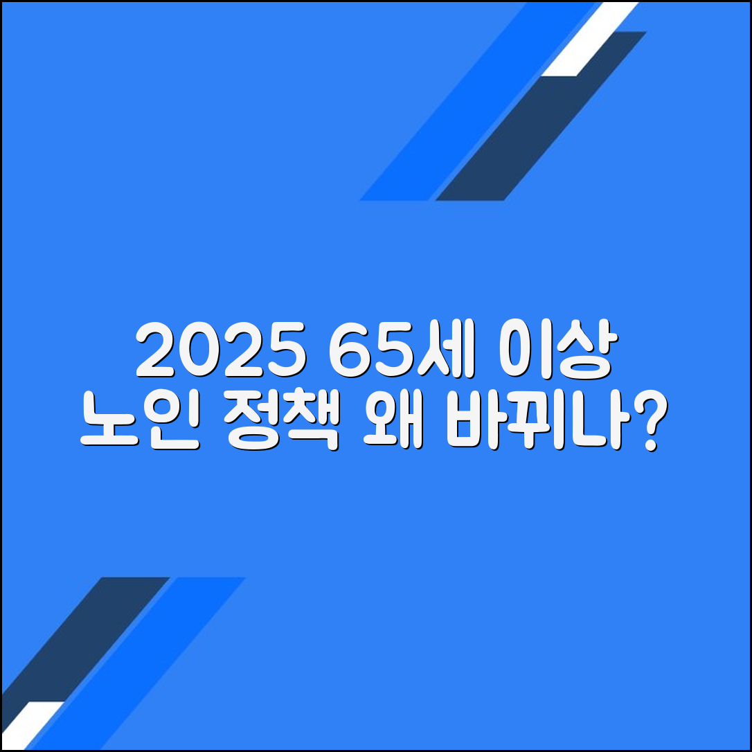 2025년 65세 이상 노인을 위한 정책 변화와 그 필요성