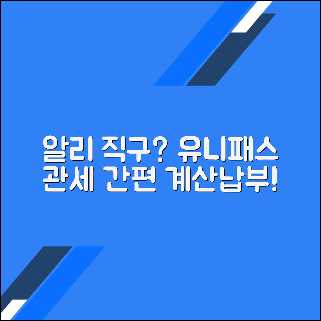 알리익스프레스 직구 시 유니패스 관세 계산 및 납부 가이드