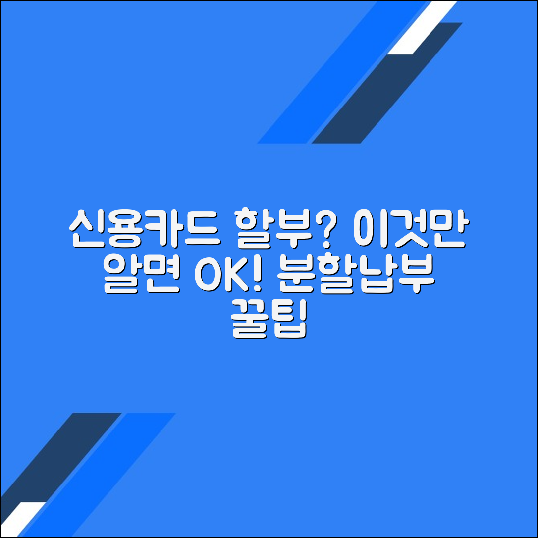 신용카드 할부와 분할납부