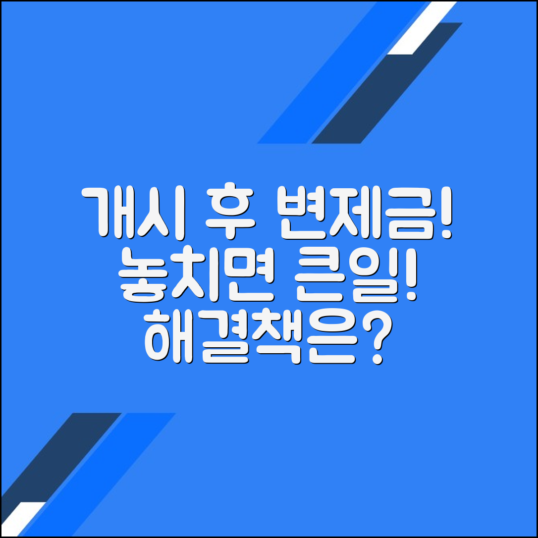 개인회생 개시결정 후 변제금 납부의 중요성과 그 대응 방법